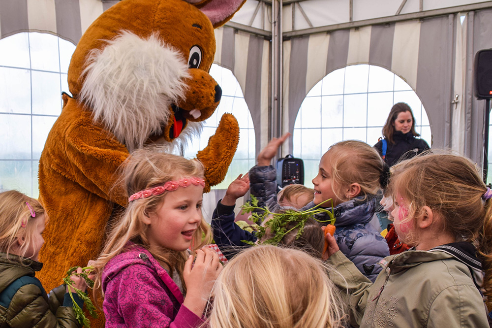 Disco met Kees konijn | Boerderij De Boerinn